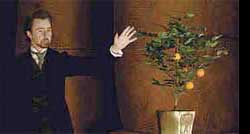 Picture of Edward Norton -The Illusionist