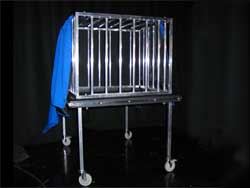 Picture of the Fire Cage illusion